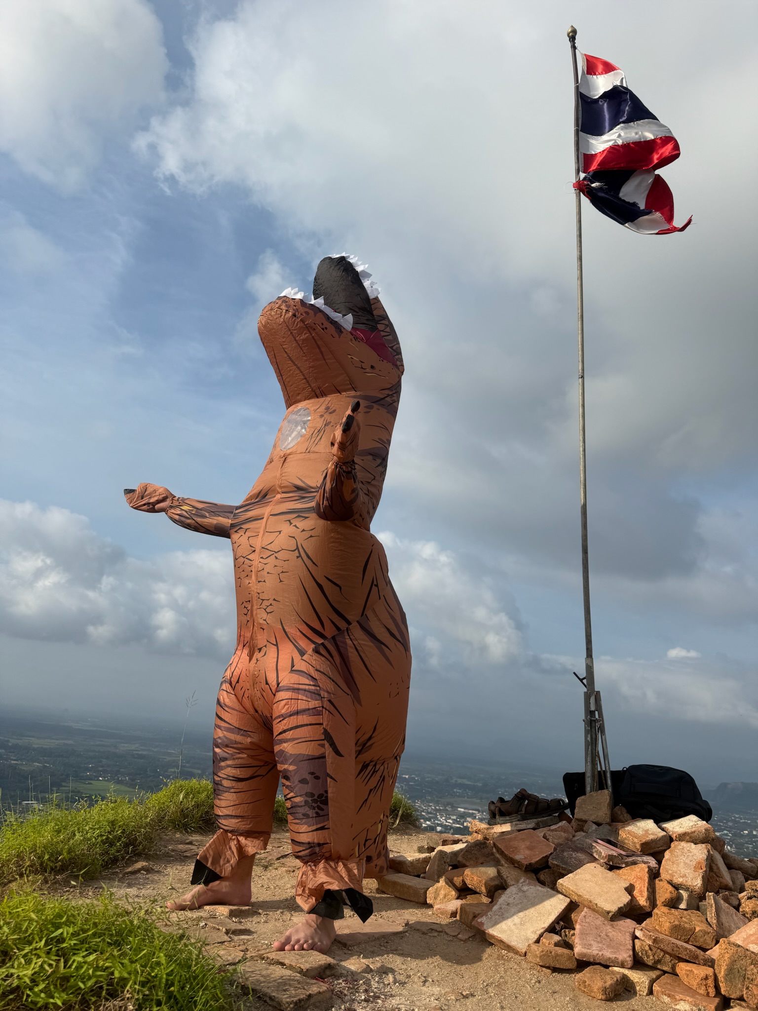 A playful dinosaur costume at a mountain summit
